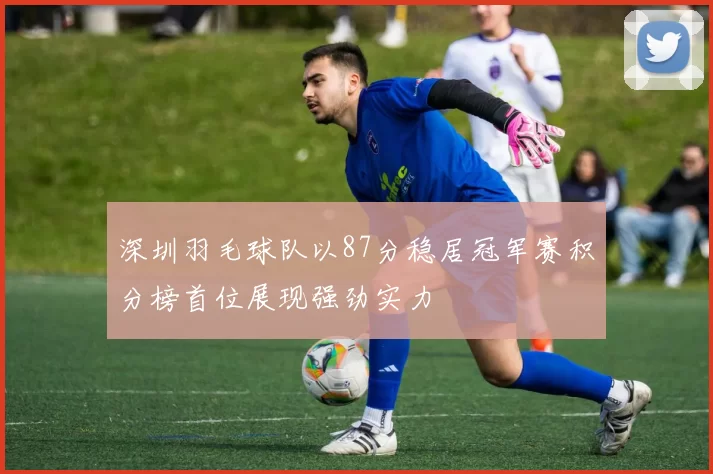 深圳羽毛球队以87分稳居冠军赛积分榜首位展现强劲实力