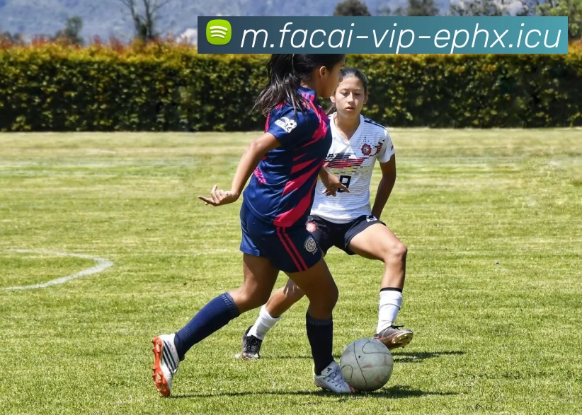 乐鱼体育全站App